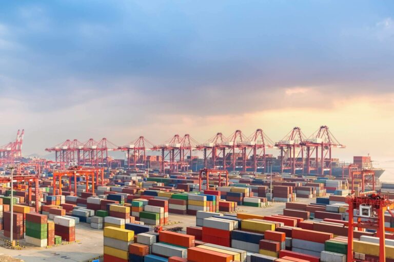 Marítima Sureste Shipping: acceder a nuevos mercados de forma competitiva gracias los servicios de logística internacional con certificación O.E.A