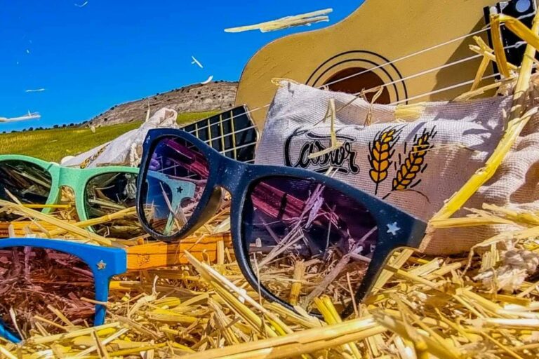 Estilo y ecologismo: las gafas biodegradables de Castor Sunglasses