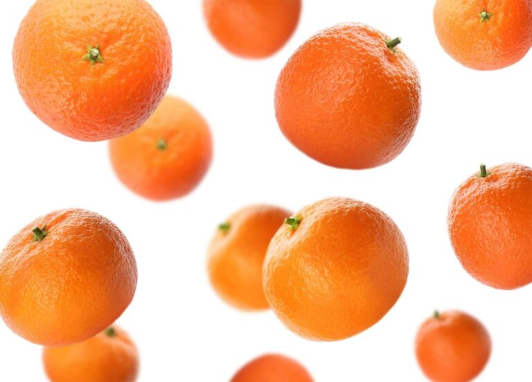 Finca el Carraixet permite comprar mandarinas de calidad en su página web