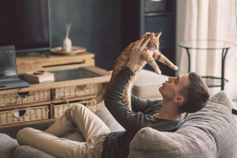 Los gatos y los perros también pueden sufrir estrés posvacacional