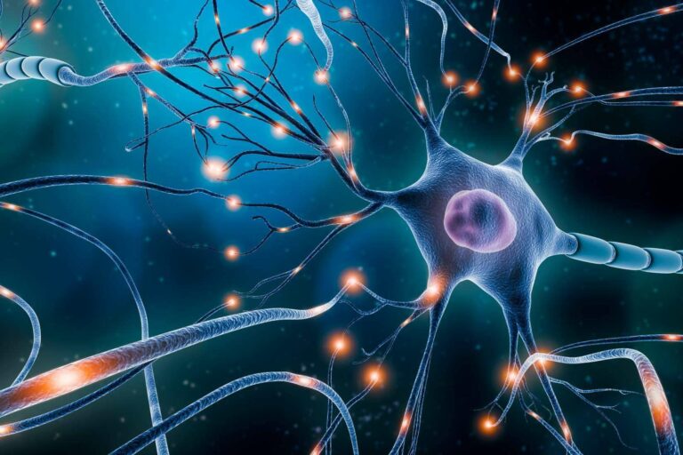 La neurociencia, ‘una revolución necesaria para formar profesionales que puedan ser válidos en la sociedad’, por el Director General de Aicad